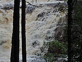 dsc_3442.jpg