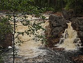 dsc_3444.jpg