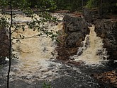 dsc_3446.jpg