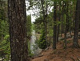dsc_3447.jpg