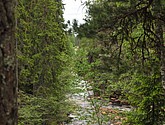 dsc_3448.jpg