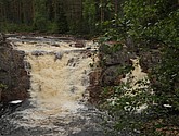dsc_3449.jpg