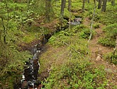 dsc_3451.jpg