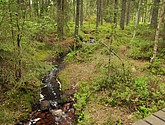 dsc_3452.jpg