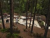 dsc_3453.jpg
