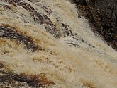dsc_3456.jpg