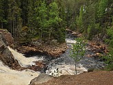 dsc_3457.jpg
