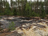 dsc_3461.jpg