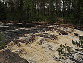 dsc_3462.jpg