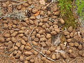 dsc_3465.jpg
