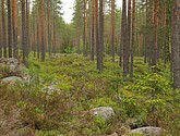 dsc_3466.jpg