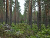 dsc_3467.jpg
