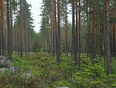 dsc_3468.jpg