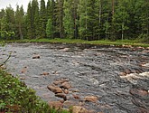dsc_3470.jpg
