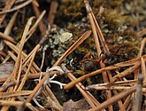 dsc_3473.jpg