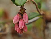 dsc_3480.jpg