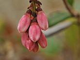 dsc_3483.jpg