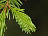 dsc_3487.jpg