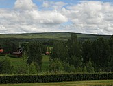 dsc_3536.jpg
