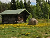 dsc_3571.jpg