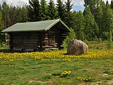 dsc_3573.jpg