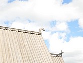 dsc_3588.jpg