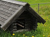 dsc_3590.jpg