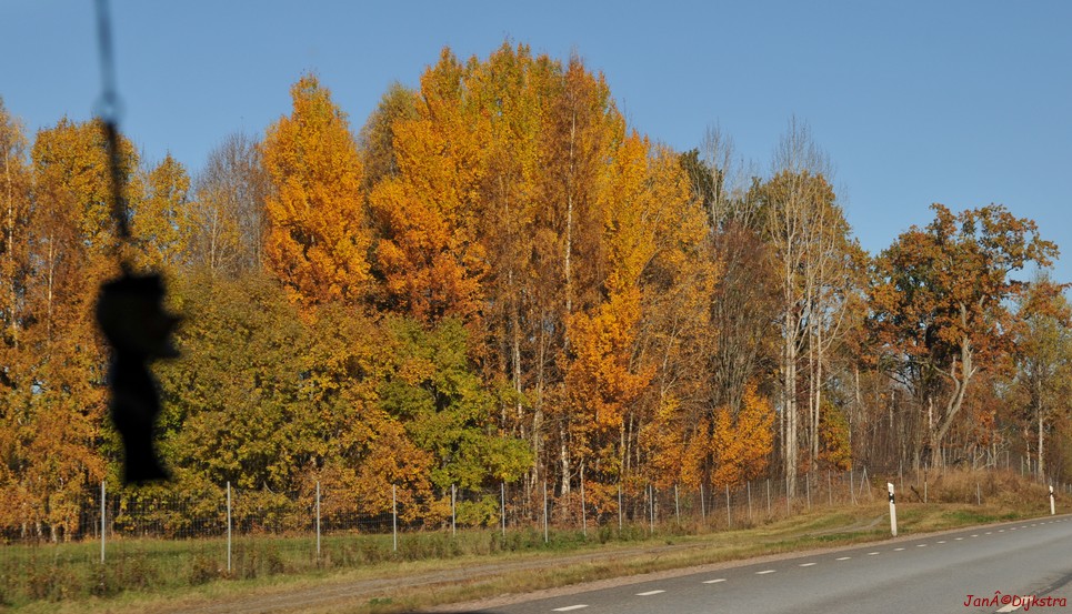dsc_1366.jpg
