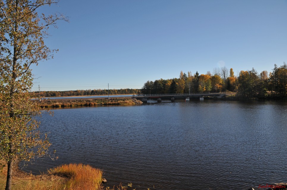 dsc_1377.jpg