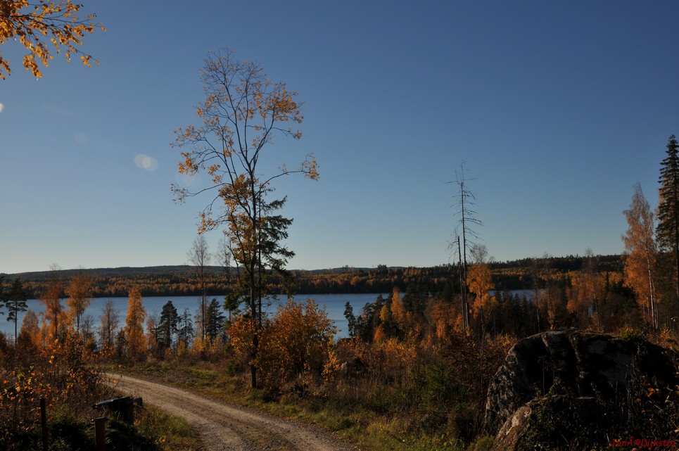 dsc_1389.jpg