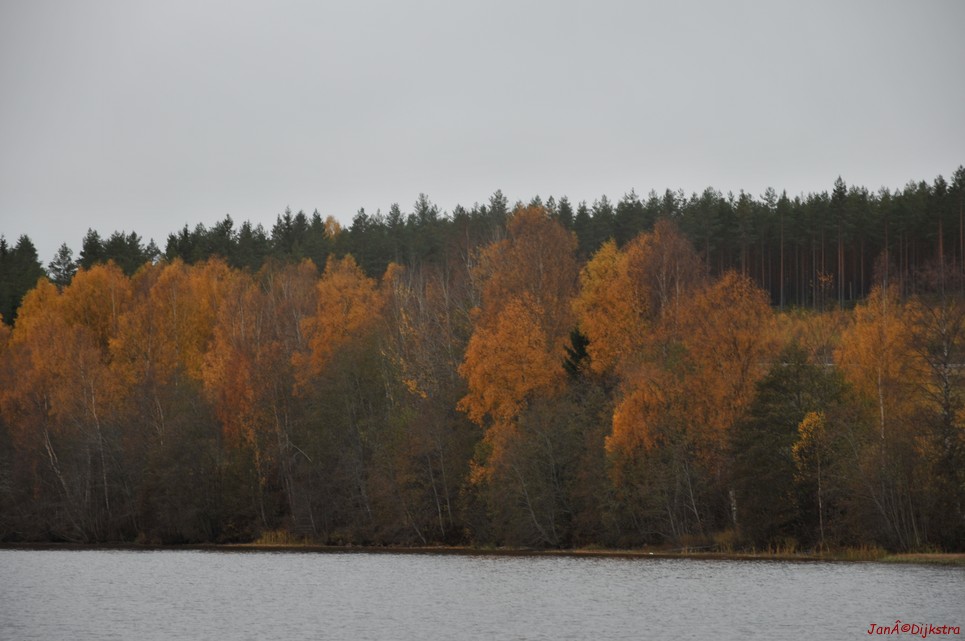 dsc_1462.jpg