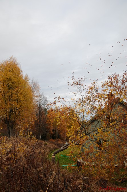 dsc_1624.jpg