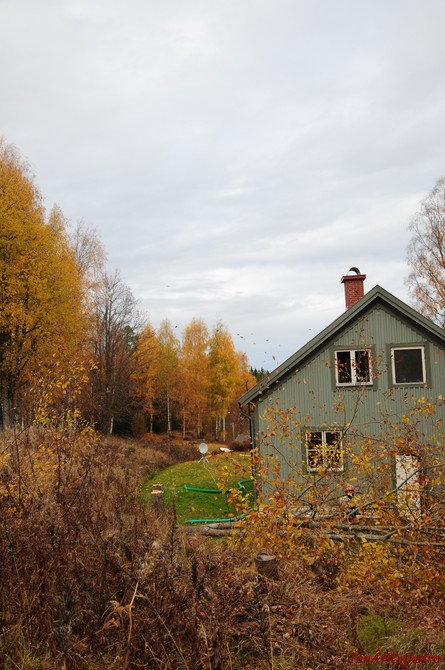 dsc_1627.jpg