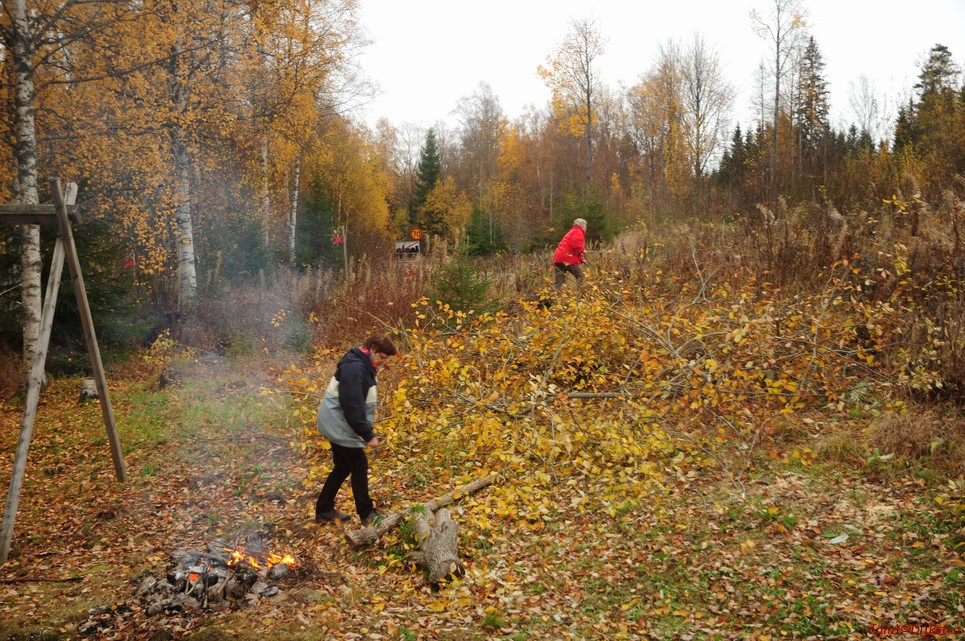 dsc_1690.jpg