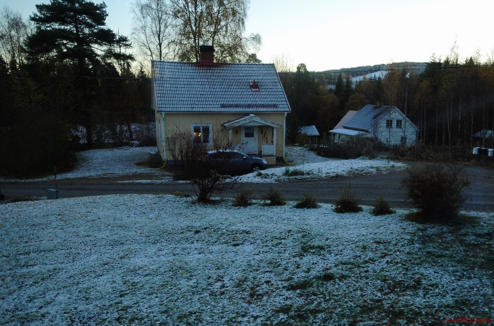 dsc_1699.jpg