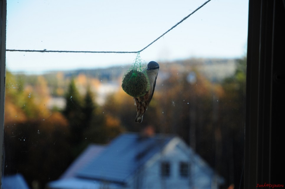dsc_1756.jpg