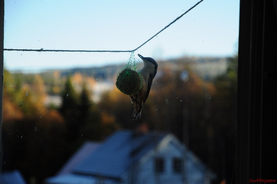 dsc_1757.jpg