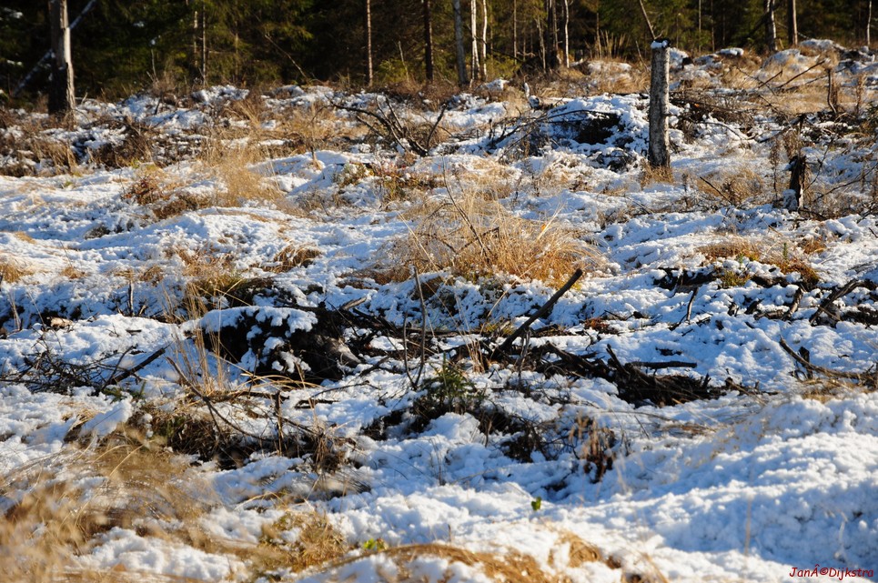 dsc_1792.jpg