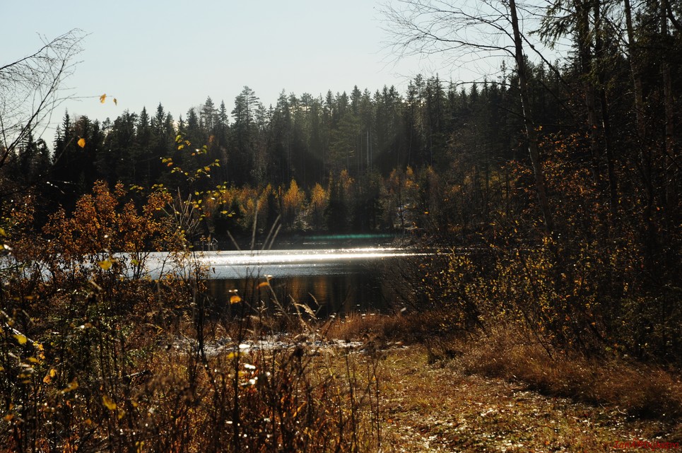 dsc_1806.jpg