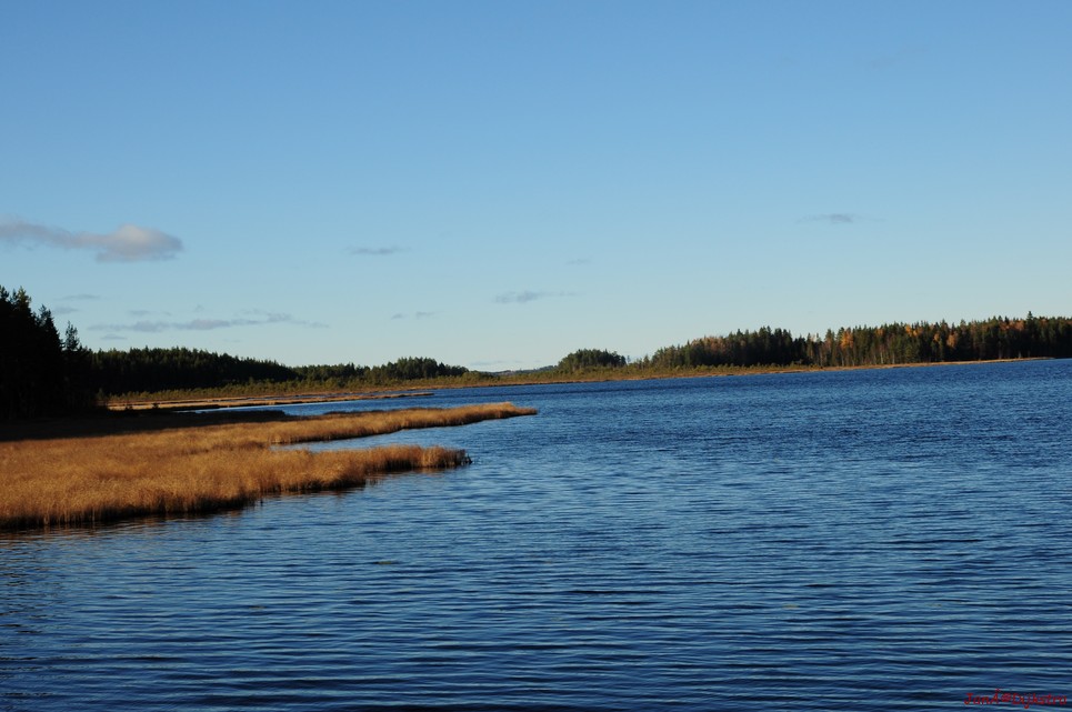 dsc_1816.jpg