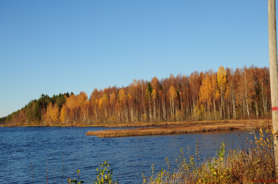 dsc_1818.jpg
