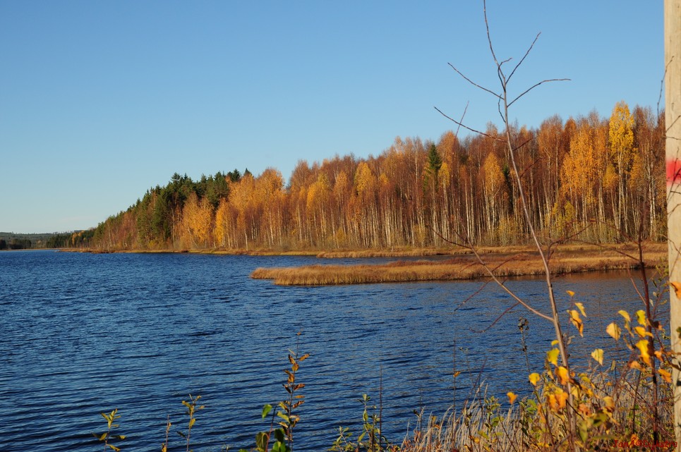dsc_1822.jpg