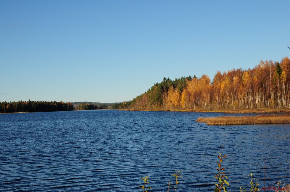 dsc_1823.jpg