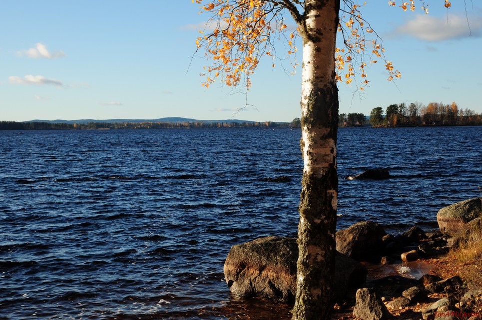dsc_1833.jpg