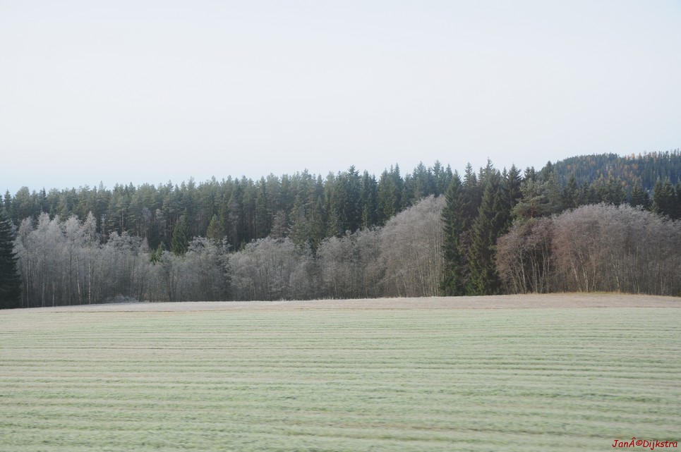 dsc_1858.jpg