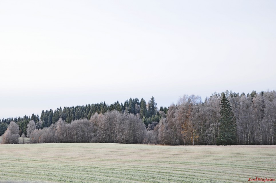 dsc_1860.jpg