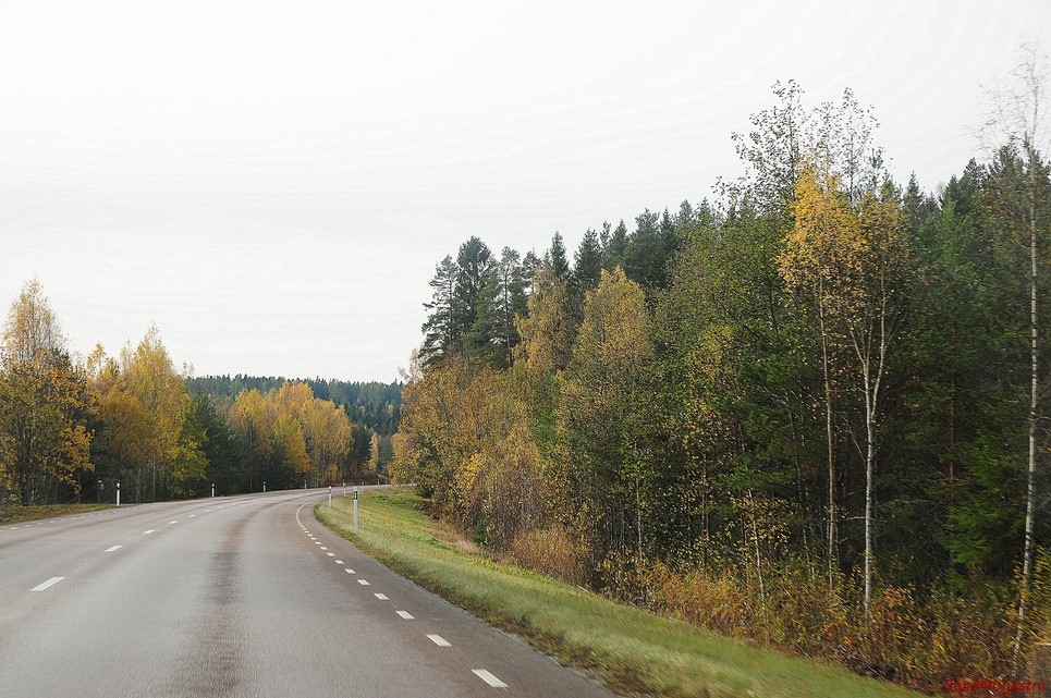 dsc_1885.jpg