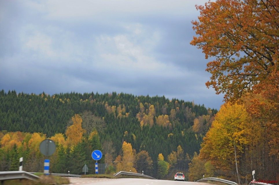 dsc_1904.jpg