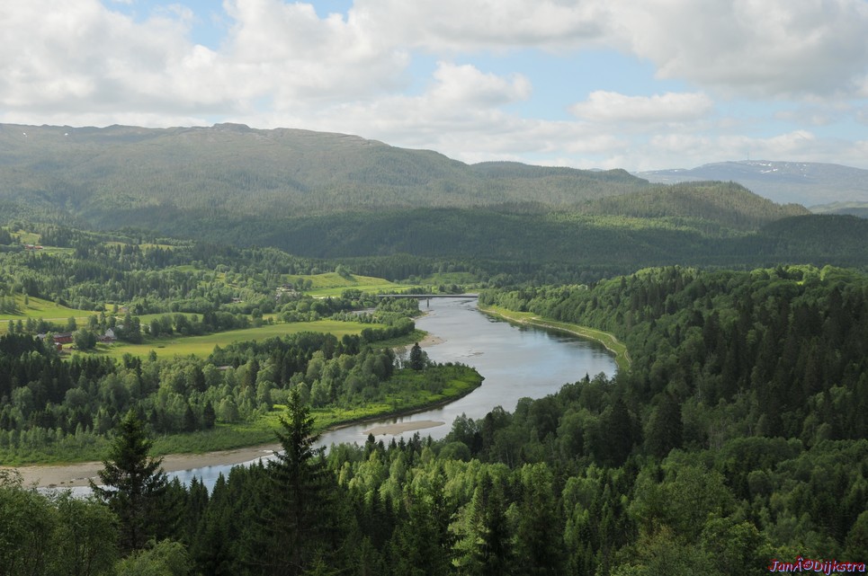 DSC_0719.JPG