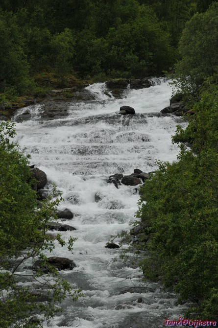 DSC_0847.JPG
